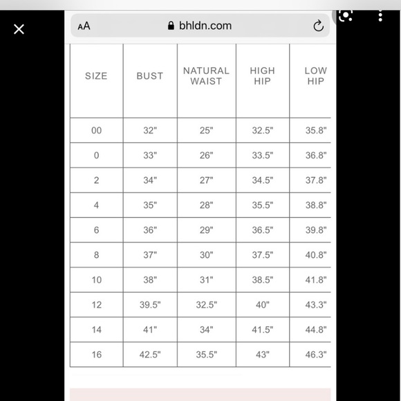 Ranna Gill by BHLDN skirt  Size 2. NWOT - Picture 8 of 8